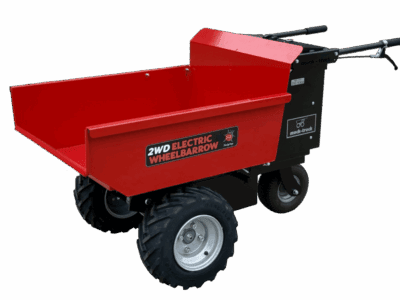 Ladybug 2WD
